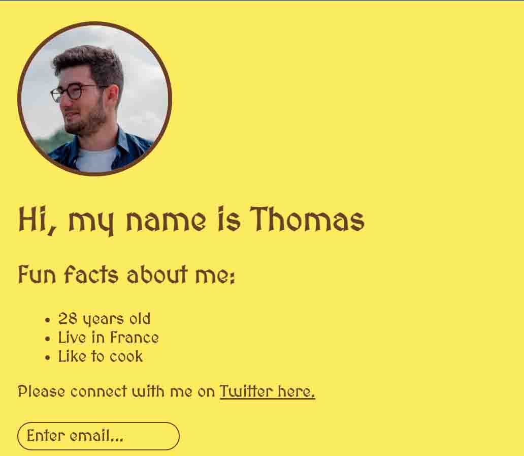 Screenshot de ce projets, un site web avec ma photo et des fun fact sur moi